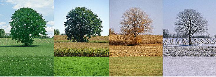 策略模拟游戏《成为统治者：大不列颠》免费序章已在Steam平台推出